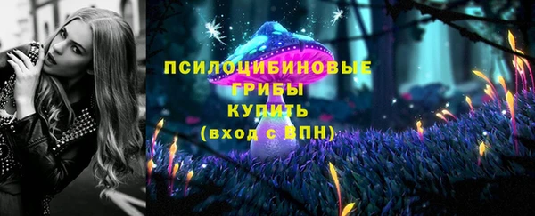 СК Бронницы